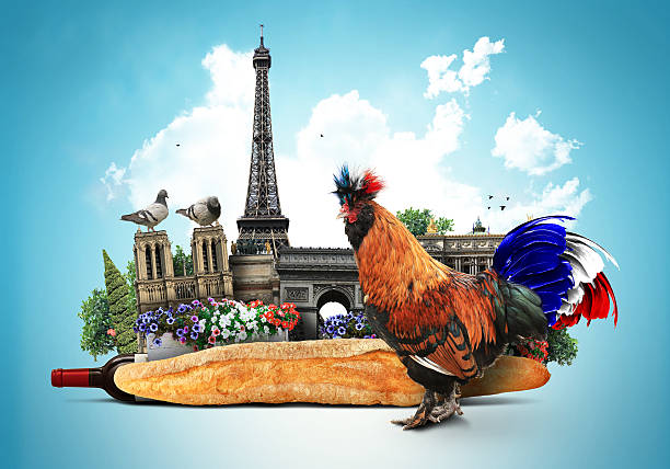 France, French colored rooster
