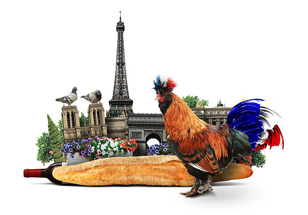 istock France, French colored rooster 610653734