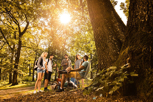 istock Group of friends in nature preparing for camping and communicating. 610654034