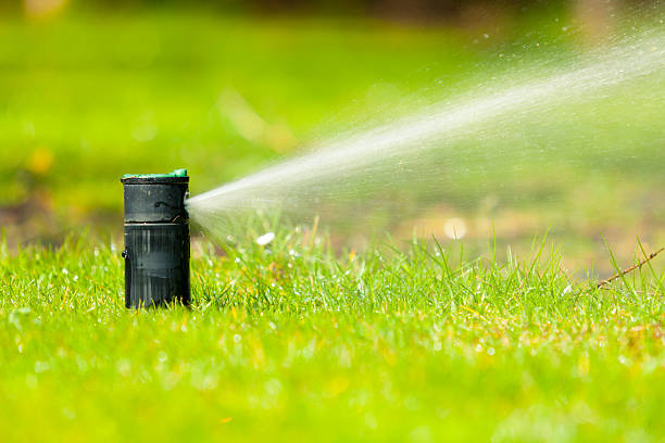 istock Gardening. Lawn sprinkler spraying water over grass. 610655356