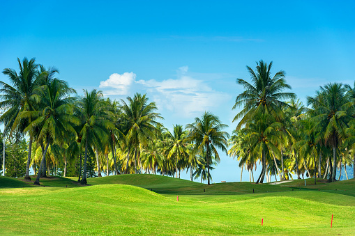 Landscape of golf course