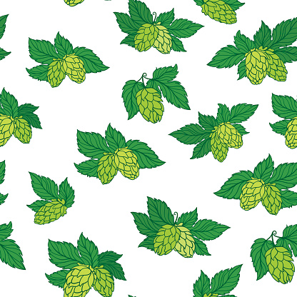 Seamless texture with sketch green hop illustration on white background