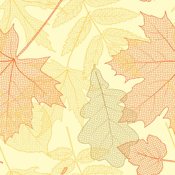 jesień liście wzór - chestnut chestnut tree backgrounds seamless stock illustrations