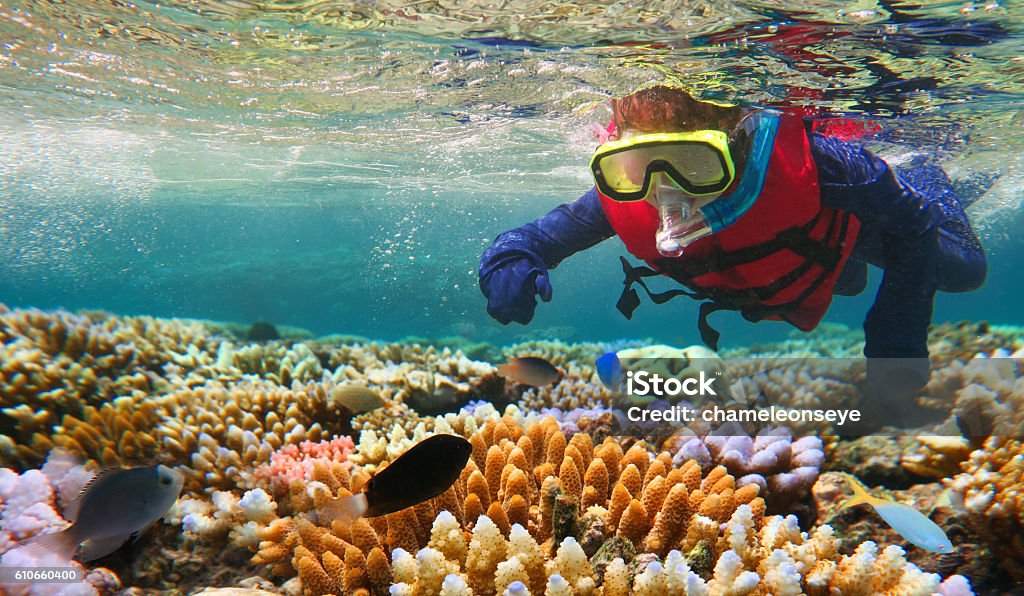 Snorkeling infantil en la Gran Barrera de Coral queensland Australia - Foto de stock de Gran Barrera Coralina libre de derechos