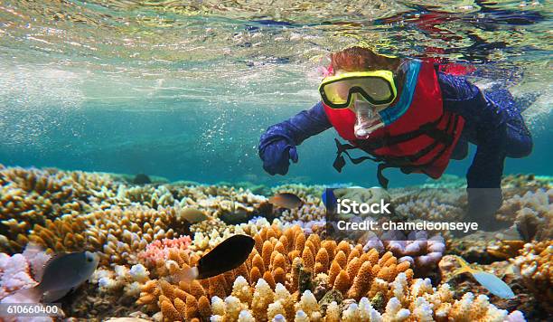 Snorkeling Infantil En La Gran Barrera De Coral Queensland Australia Foto de stock y más banco de imágenes de Gran Barrera Coralina