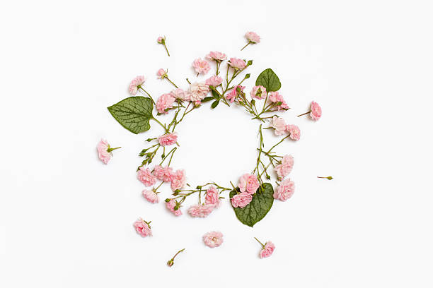 istock Floral round frame on white background. Flat lay, top view. 610662404