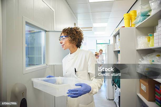 Female Researchers Stock Photo - Download Image Now - 30-39 Years, Adult, Adults Only