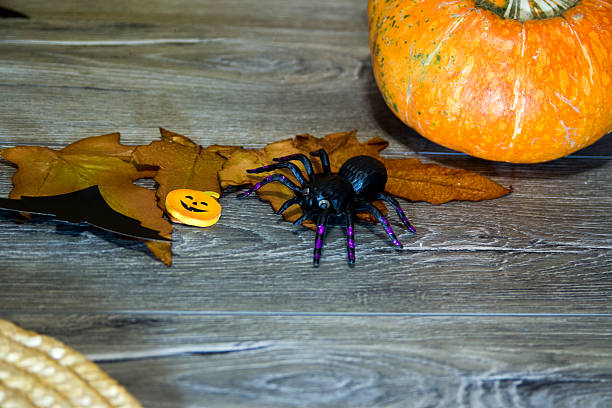 istock Halloween pumpkin head jack lantern on wooden background 610664558
