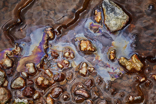 istock Waimangu Hot Stream Detail 610666346