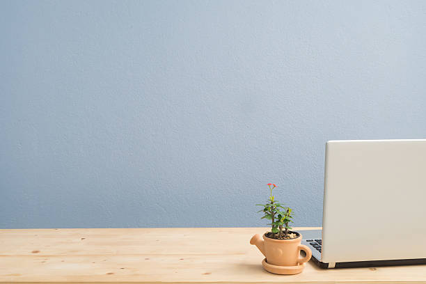 istock Office Desk with flowerpot and laptop. 610671982