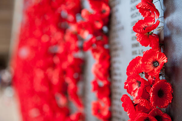 Close up of red poppies on a war memorial. 