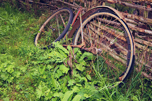 Old broken vintage rust bicycle lying in the grass