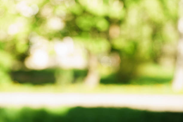 istock blurred background of green park in summer 610676554