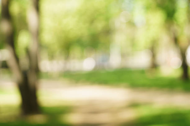 istock blurred background of green park in summer 610677454