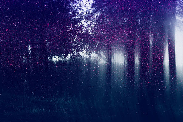 istock Abstract and mysterious background of blurred forest 610678446