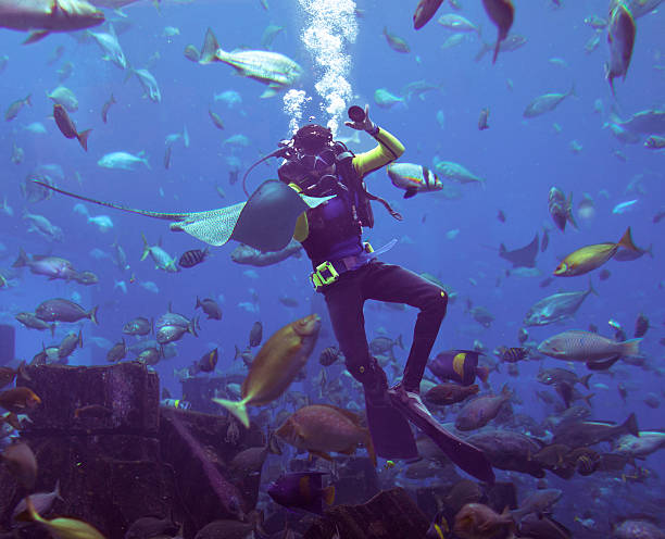 Buceo Scooba - foto de stock