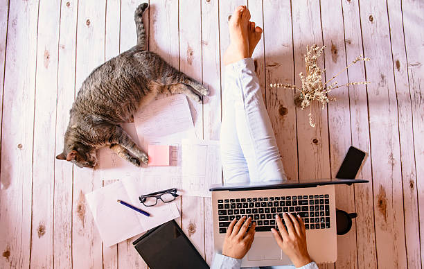 istock Creative workspace: girl working with her cute grey cat. 610685596