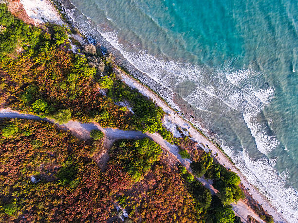 istock Aerial view of wild beach 610687018