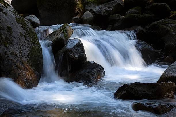 istock Mountain stream in northern Italy, Europe 610689242