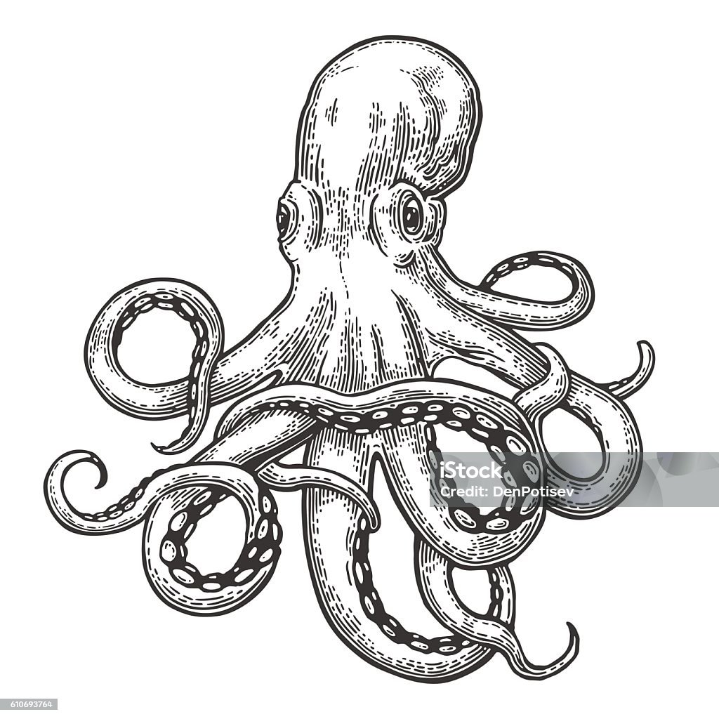 Octopus. Sea Monster Octopus. Vector black engraving vintage illustrations. Isolated on white background. Octopus stock vector