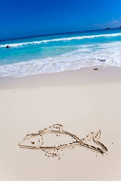 istock fish- a picture on sand 610750508