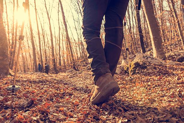 Closeup of trekking shoes. stock photo