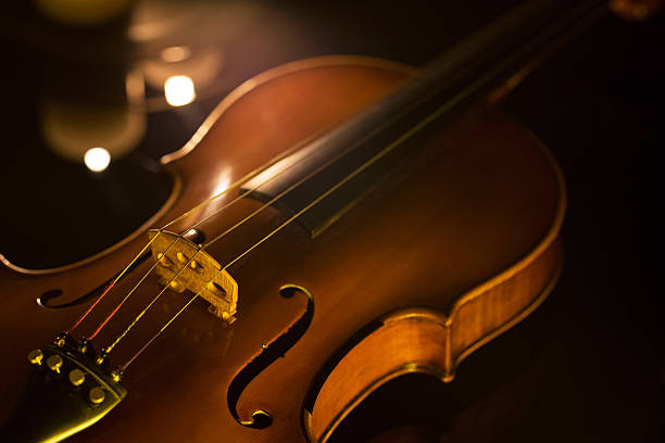 viola  - classical music music musical instrument brown foto e immagini stock