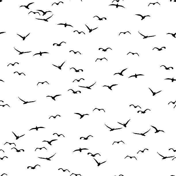 Glide Drawing Pattern Bird Glide Illustrations, Royalty-Free Vector Graphics & Clip Art - iStock