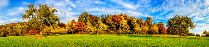 Wide panorama landscape shot of a green meadow with colorful trees and blue sky in autumn