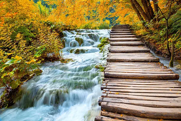 Photo of Scenic waterfalls and wooden path -  Fall season