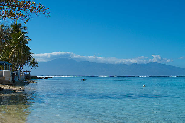 ilha moorea - french polynesia pier lagoon nautical vessel - fotografias e filmes do acervo