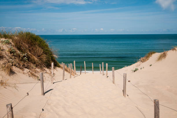 sand dune - france - wood dirt road footpath exercising imagens e fotografias de stock