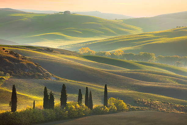 istock Fresh Green tuscany landscape 610756050