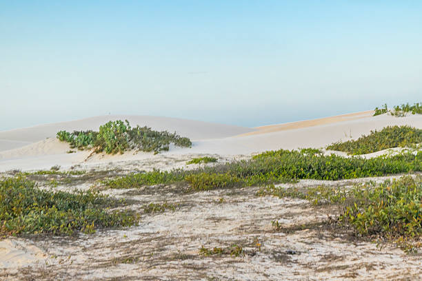 istock Jericoacoara National Park Dunes 610756110