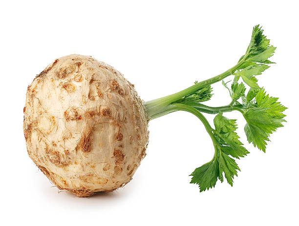 sedano isolato su bianco  - celery leaf celeriac isolated foto e immagini stock