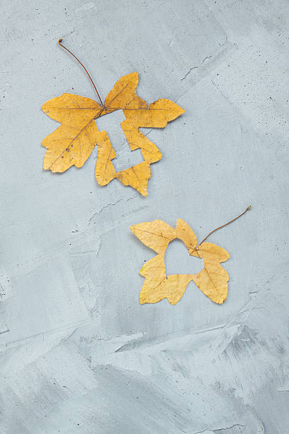 istock Lettering i love on maple leaves on a concrete background 610764034
