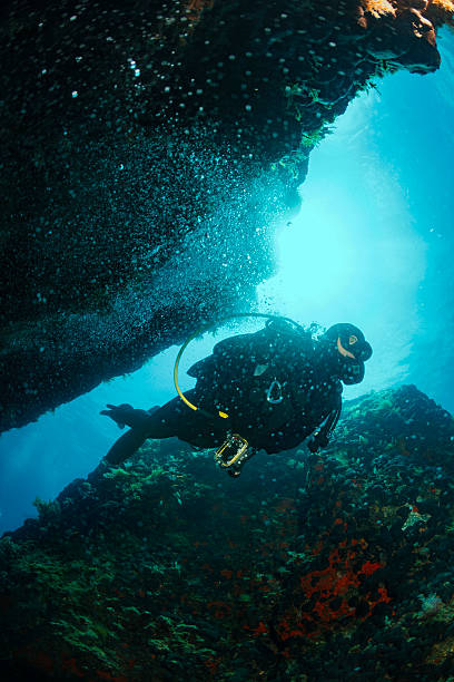 istock Underwater  Scuba diving   Explore reef   Sea life  Team scuba divers 610768064