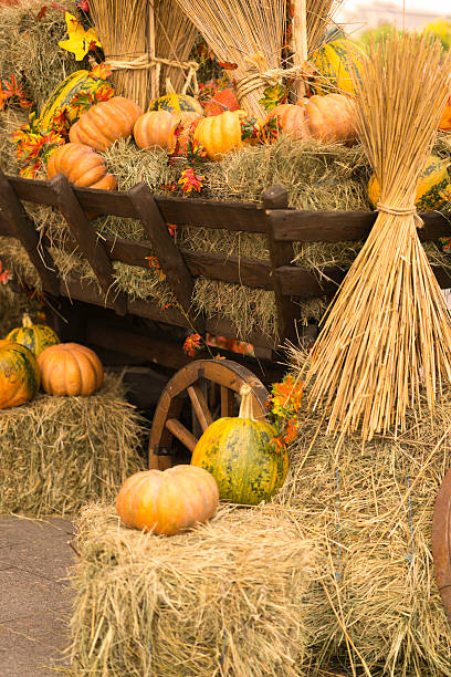 istock Autumn Harvest Cart 610768370