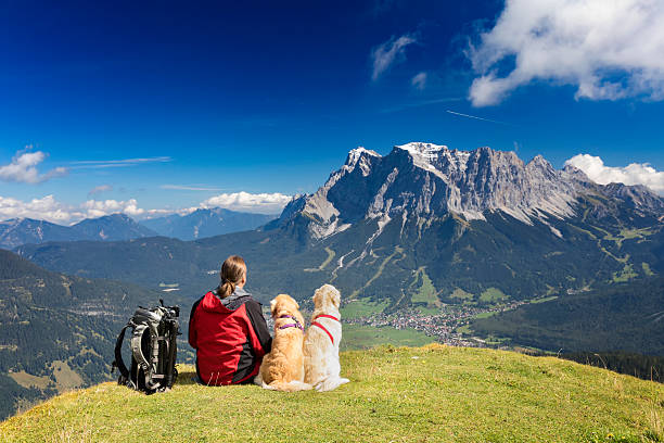 tres amigos, hombre con sus perros están mirando a zugspitze - bavaria wetterstein mountains nature european alps fotografías e imágenes de stock