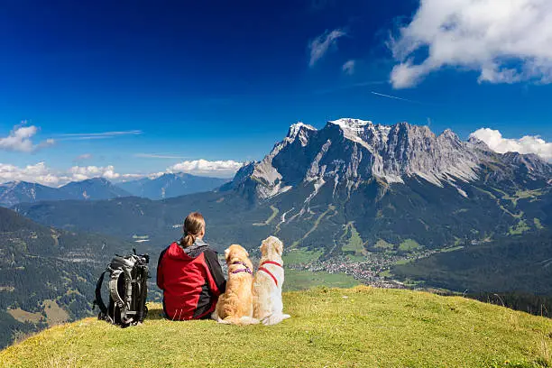 Nature photographer with tripod an backpack with his dogs in the alps at Mount Zugspitz