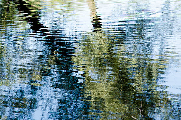 istock Reflection of trees in water 610770378