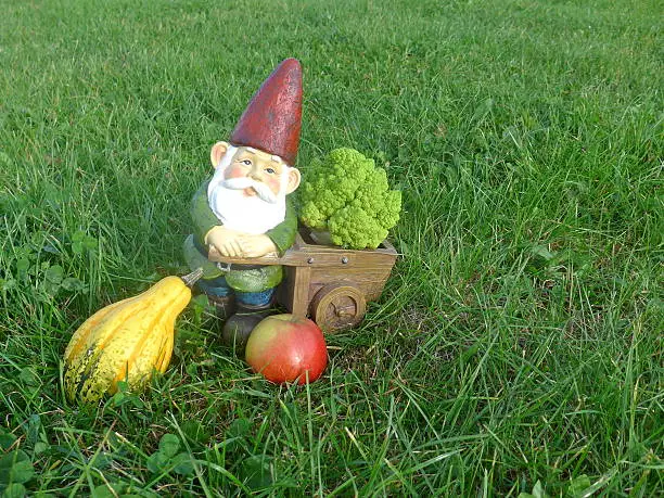 Photo of Garden gnome with wheelbarrow, broccoli, pumpkin and apple