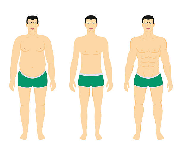 ilustraciones, imágenes clip art, dibujos animados e iconos de stock de antes y después de la pérdida de peso de la dieta - muscular build food healthy eating human muscle