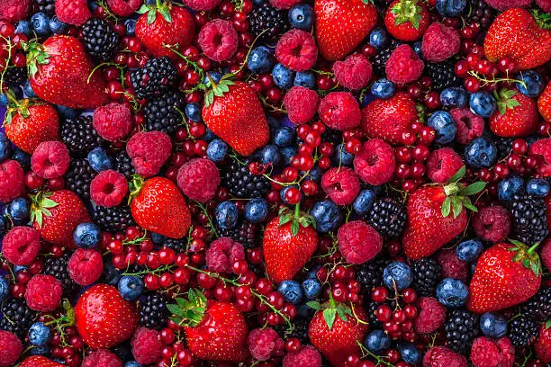 Forest fruit berries overhead assorted mix in studio on dark background with raspberries, blackberries, blueberries, red currant.
