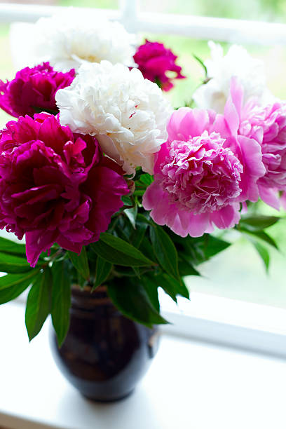 istock vase with colorful peonies on window-sill 610775060
