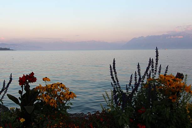 istock switzerland - sunset on leman lake 610775398