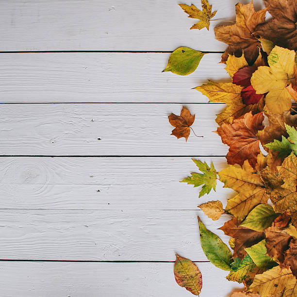 istock Colorful autumn dry leaves border frame 610775986