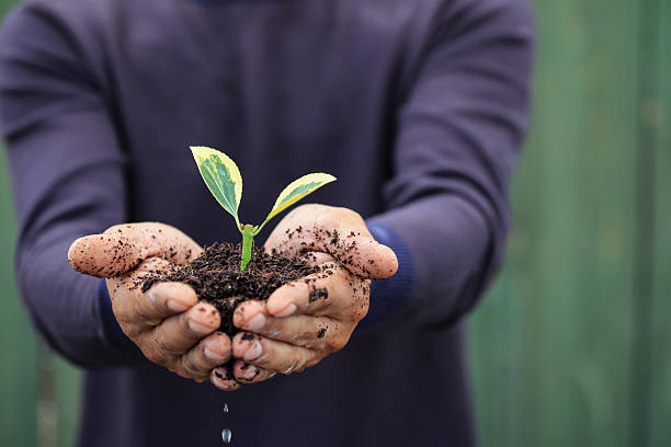 istock Close Up Of Hands Holding Plant 610776206