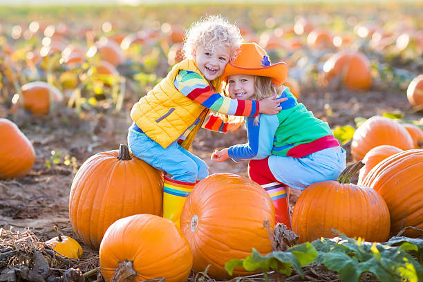 istock Kids picking pumpkins on Halloween pumpkin patch 610776466