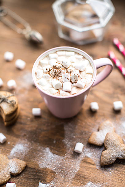 istock Hot cocoa with marshmallows air and ginger cookies 610777276